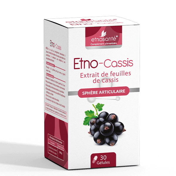 Etno Cassis BT 30