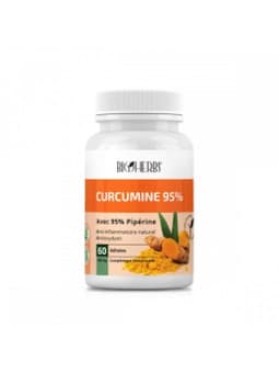 BIOHERBS Curcumine 95 B60