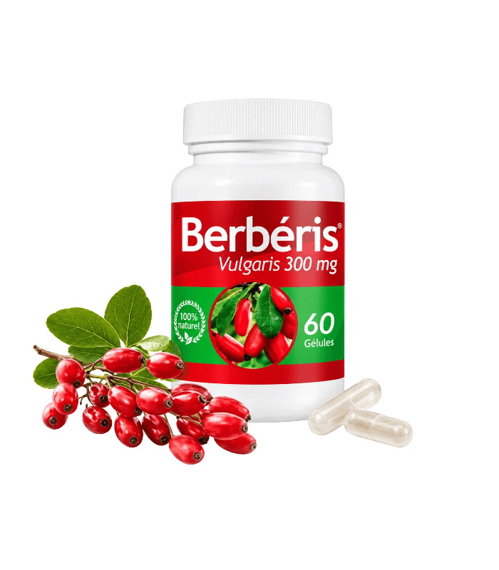 BERBERIS VULGARIS 60 Gelules
