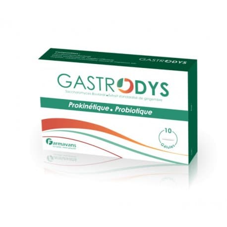 Farmavans Gastrodys 10 Gélules