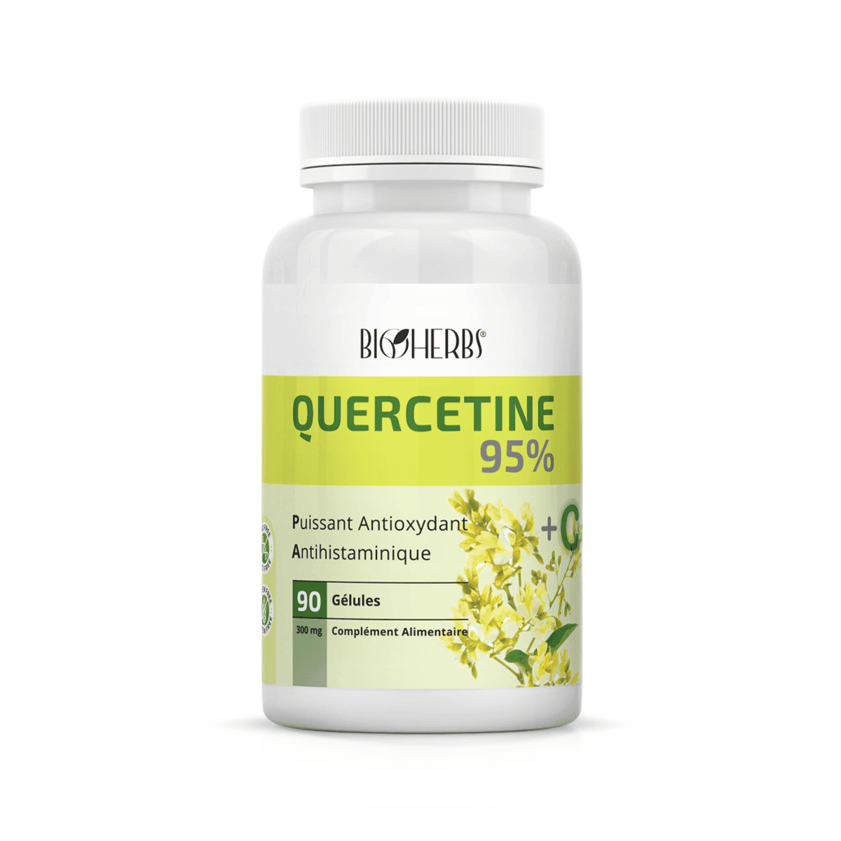 BIOHERBS QUERCETINE 95% BT 90G