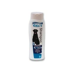 CROCI GILLS SHAMPOING POILS NOIRS 200ML