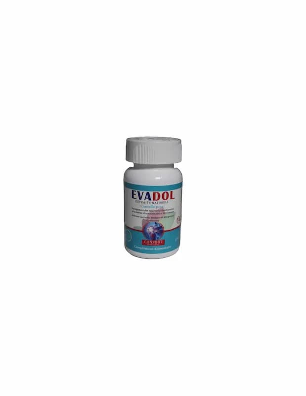 EVADOL CONFORT ARTICULAIRE B/20
