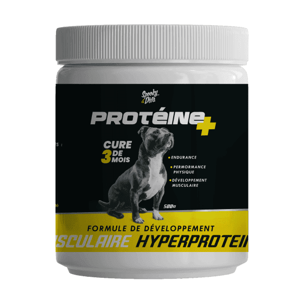 S&D Proteine Plus 500g