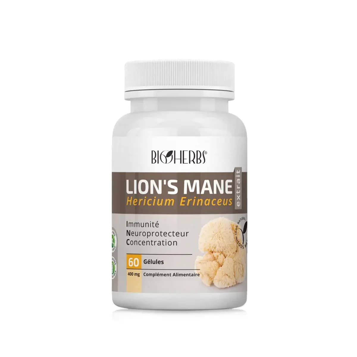 Lion’s Mane (hericium Erinaceus) فطر عرف الأسد Bioherbs
