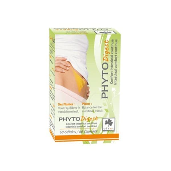 phytothera phytodigest gelule b/60