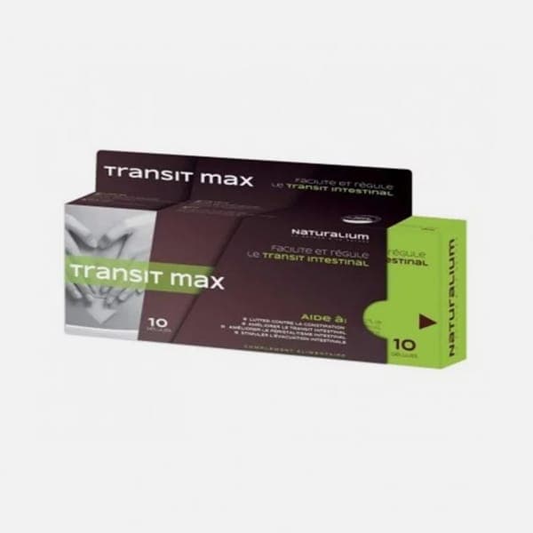 TRANSIT MAX B/10