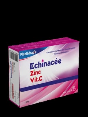 ECHINACEE ZINC VITAMINE C BT/60 GEL
