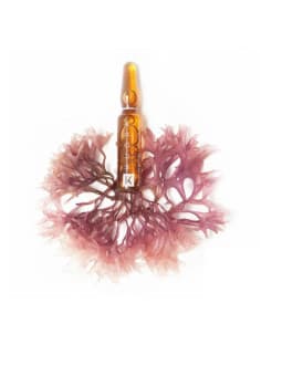 KUORA amp flash eclat eff lifting 4*2 amp