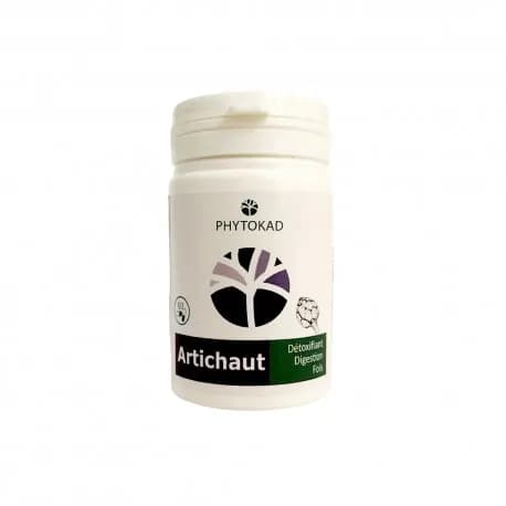 PHYTOKAD ARTICHAUT BTE 60