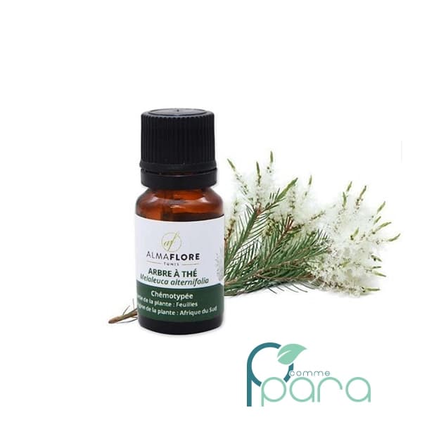 ALMAFLORE Huile Essentielle Arbre à Thé,10ml