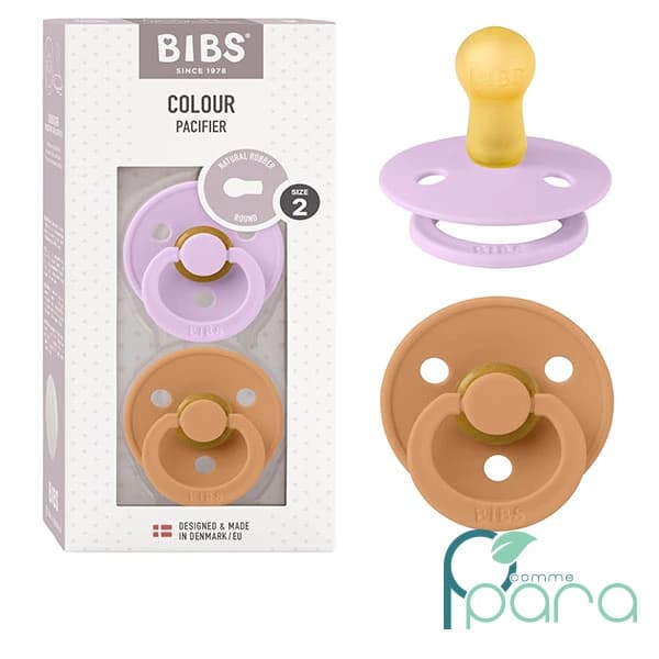 BIBS 2 Sucettes Violet Sky Pumkin 6-18 Mois