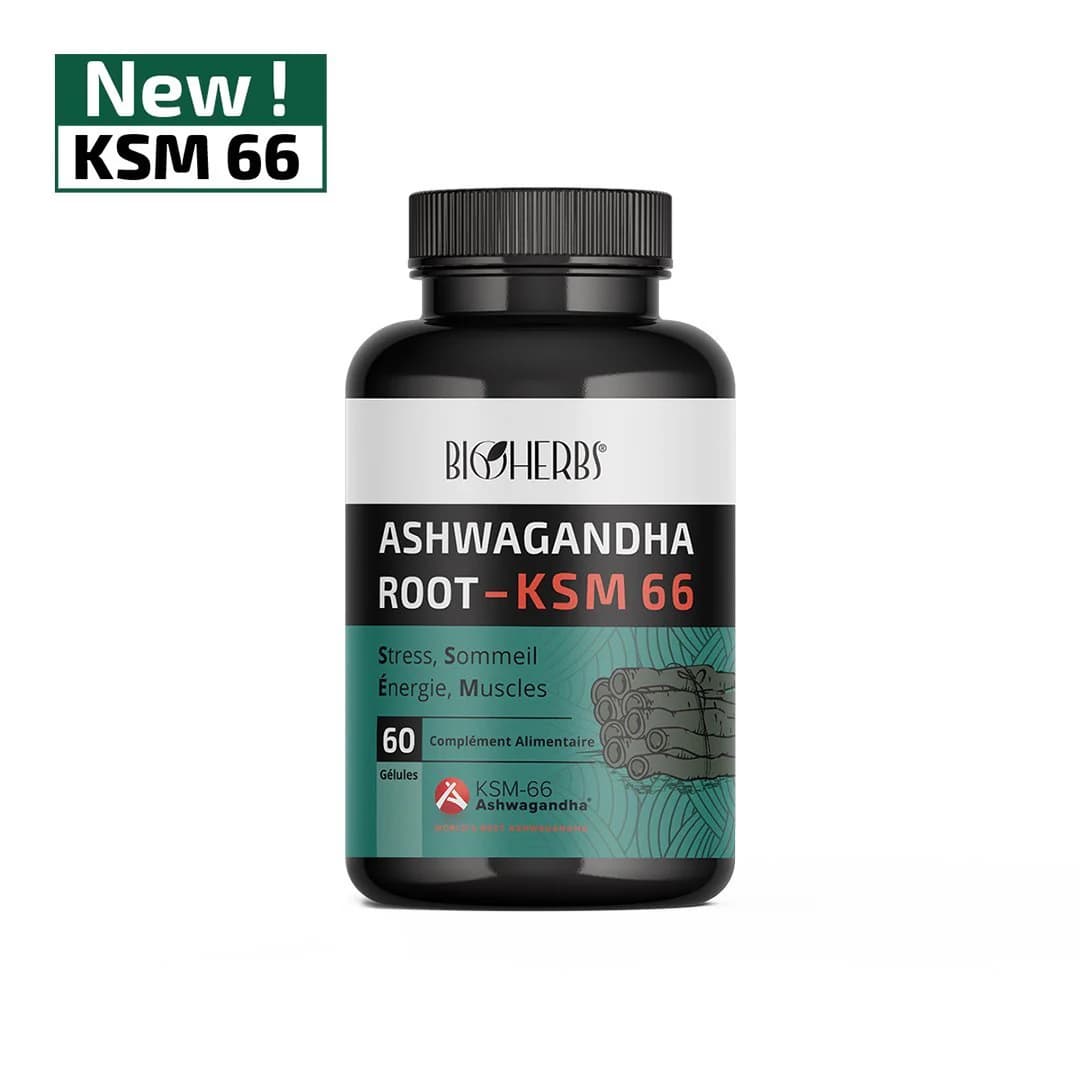 BIOHERBS Ashwagandha KSM 66 B/60